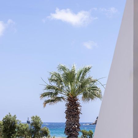 Rodavgi Apartments Ándros Dış mekan fotoğraf
