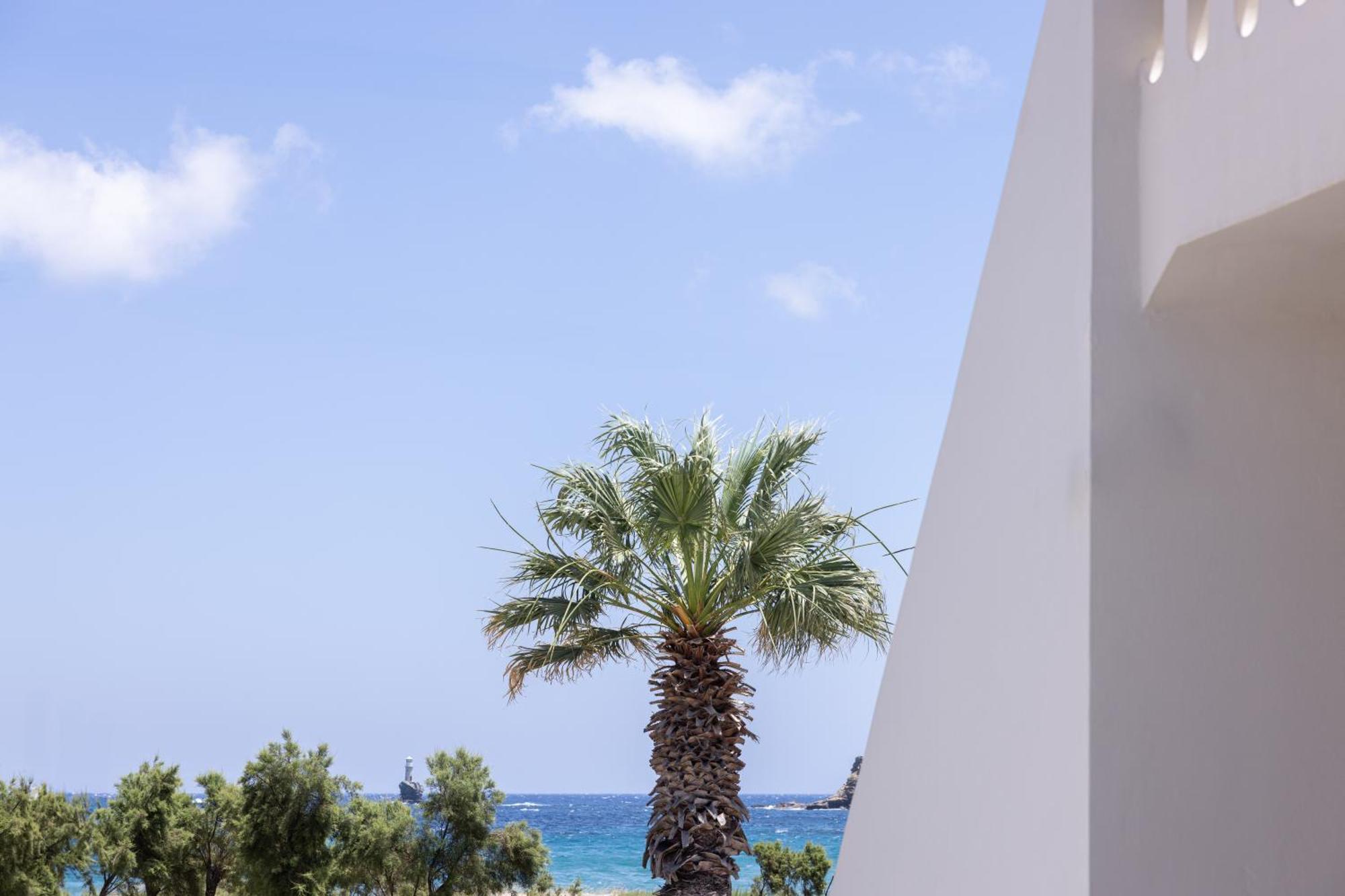 Rodavgi Apartments Ándros Dış mekan fotoğraf